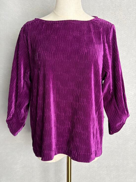 Tru Luxe Tops - Tru Luxe Crinkle Velvet Top Round Neck with Bow Tie in Plum Women's Medium NEW